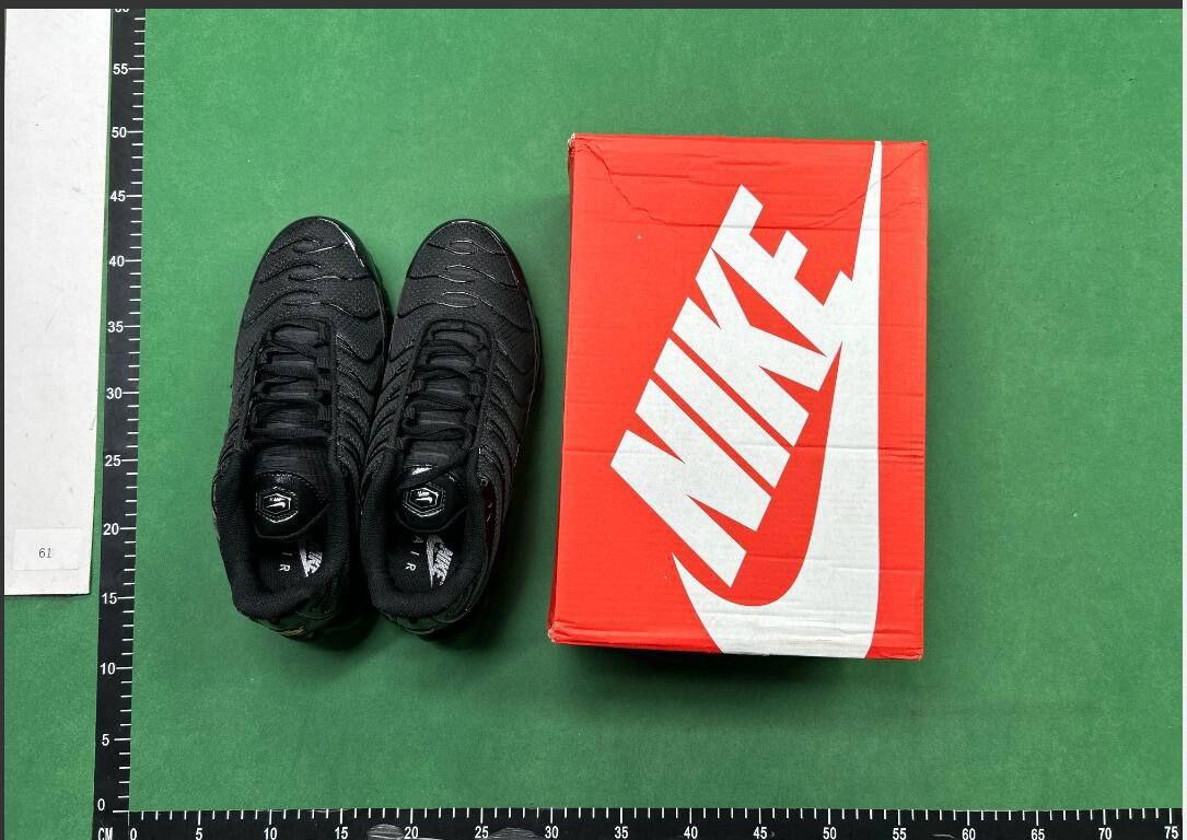 Nike Air Max plus -1