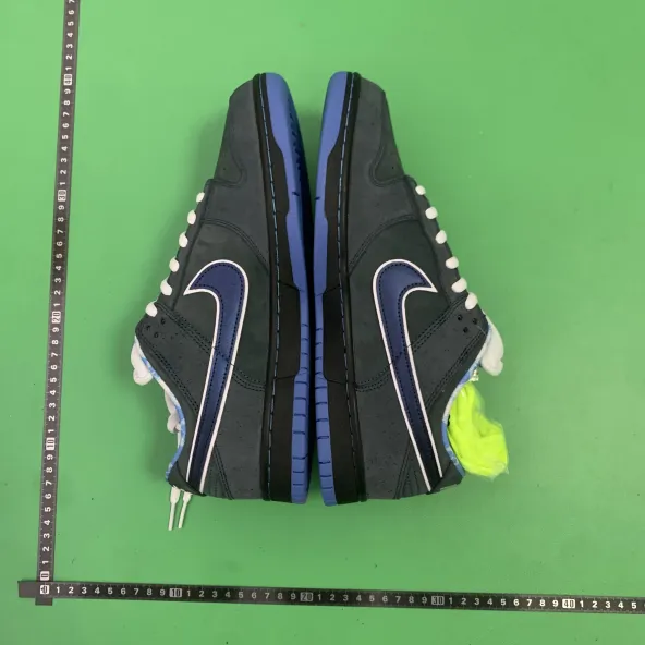 Nike Dunk Low Pro OG  -2