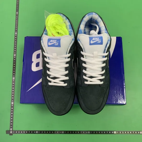 Nike Dunk Low Pro OG  -5