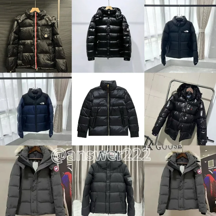 The North Face Black Puffer Jacket