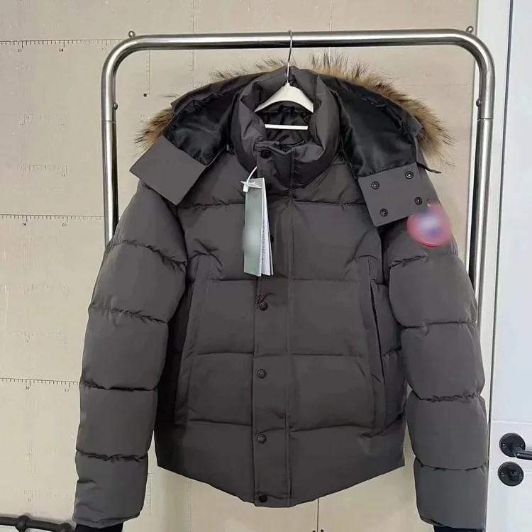 'Grey Fur Collar Puffer Jacket'